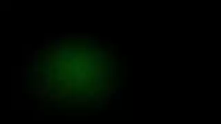 بث مباشر إباحي لثنائي الكاميرا