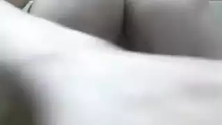 هادنة