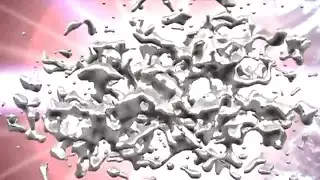 سكساردني