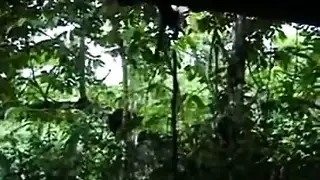 أفلام سكس أردف كبر