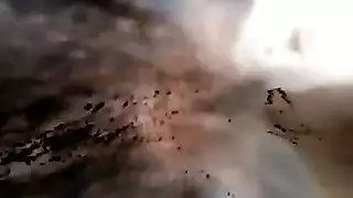 سكس زنجيات امريكا