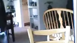 كلابي شد موخرات