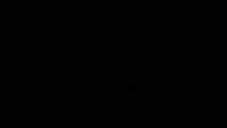 منير الميرا