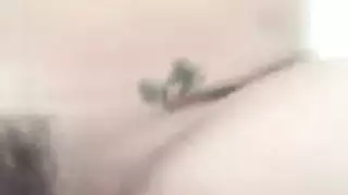 بنات وحمار