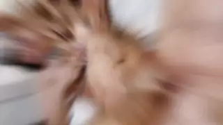 أفلام كس عندما تمتص وتمارس الجنس بلا حدود