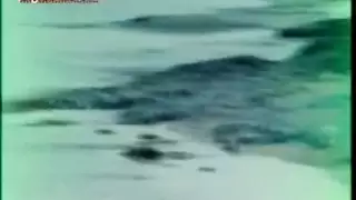 حجم كبير