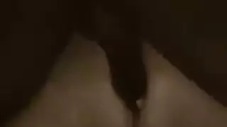 هي مثل في الحمار العربي