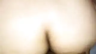 الجلوس قرنية * *
