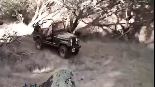 كلاسيكي قديم الجميلة النائمة خوخة