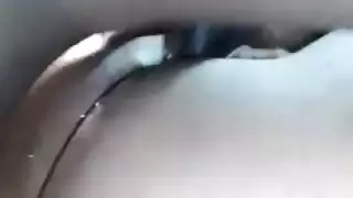 الهواة الأميركيين من أصول إفريقية عازمة على الظهر الكلب
