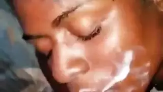 تربية العربية الأبنوس